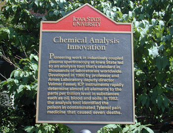 closeup photo